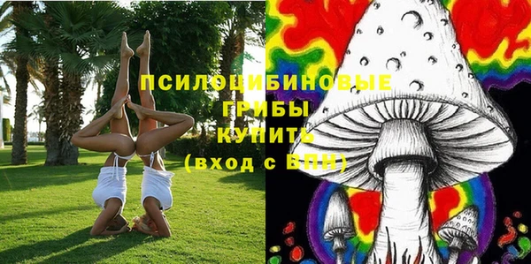 прущие крисы Осташков