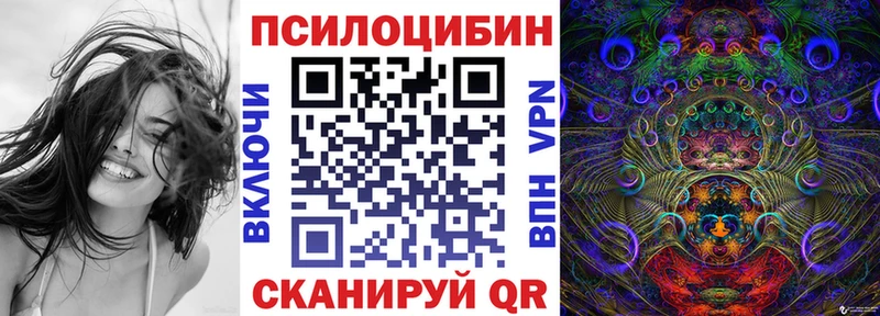 Псилоцибиновые грибы мицелий  блэк спрут ONION  Теберда 